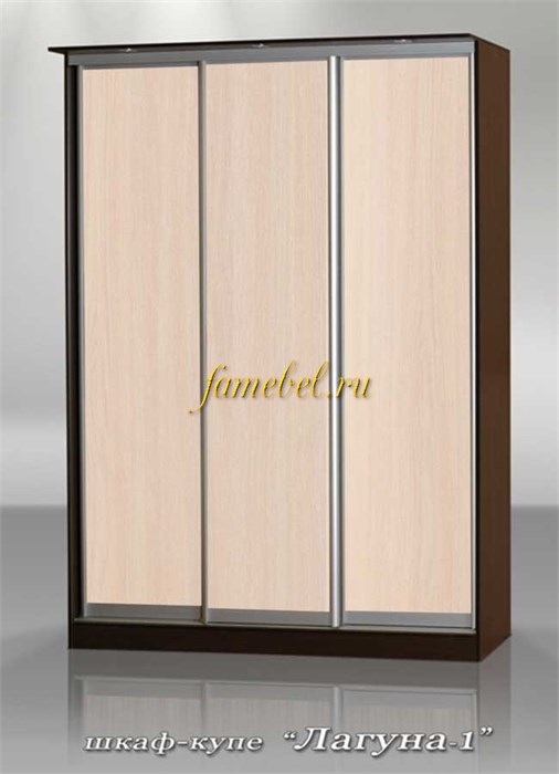 Шкаф купе Лагуна 1 трёхдверный ширина 1700