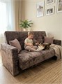 Диван-кровать "Жасмин" коричневый микровелюр Барс