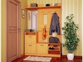 Прихожая Ольга 3