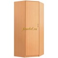 Шкаф угловой Стильный 1У однодверный